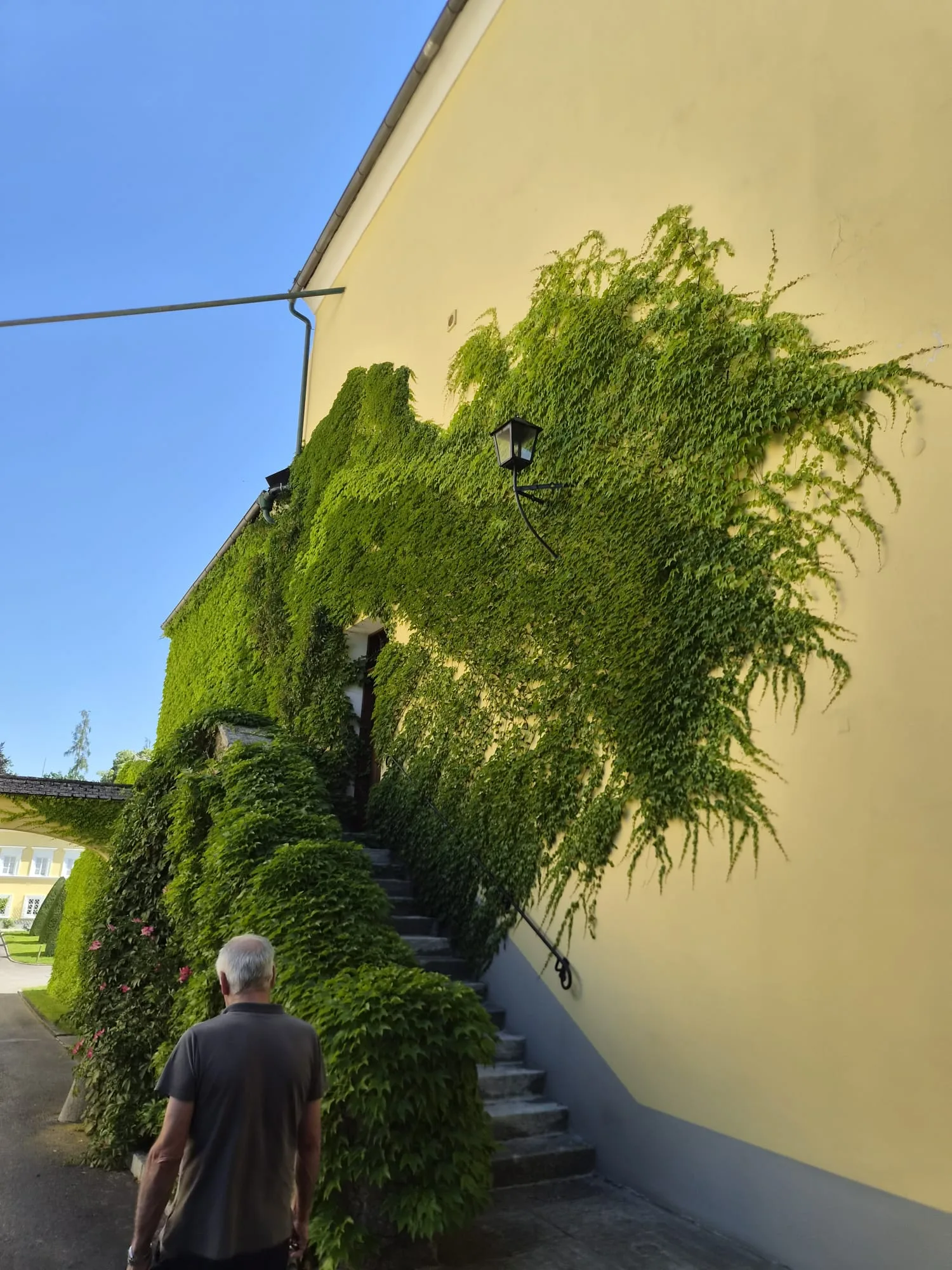 Efeuberankter Innenhof von Schloss Eggenberg
